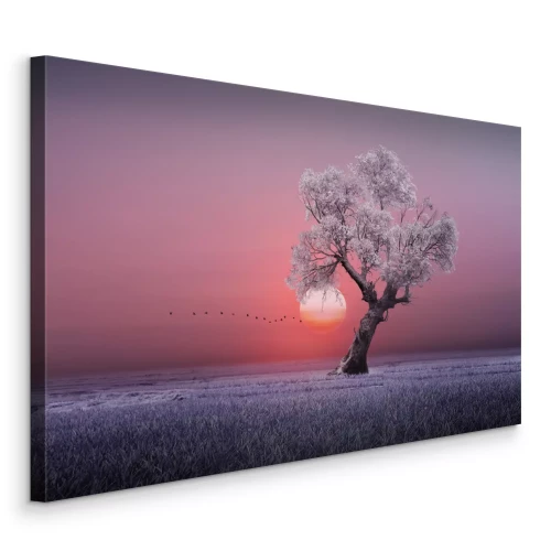 Tableau  amazing tree in the morning