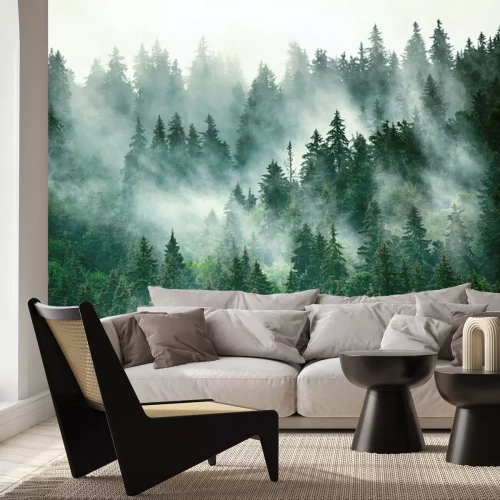 Papier peint  Misty mountain landscape