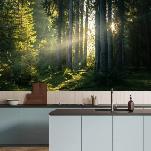 Papier peint  Le soleil perçant le brouillard