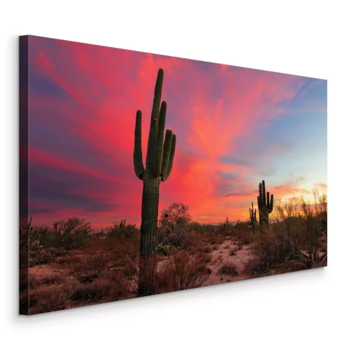 Tableau  Cactus dans le désert au coucher du soleil