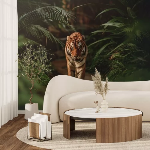 Papier peint  Tigre se promenant dans une jungle tropicale