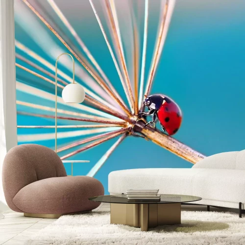 Sticker  Coccinelle sur une plante sèche