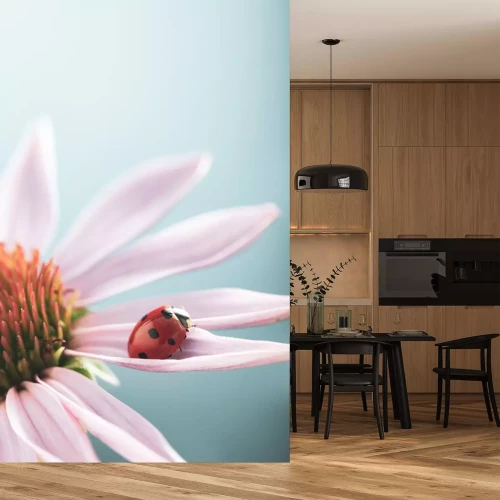 Sticker  Coccinelle sur un pétale de fleur rose