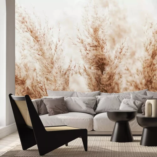 Papier peint  Herbe de la pampa dans le style boho