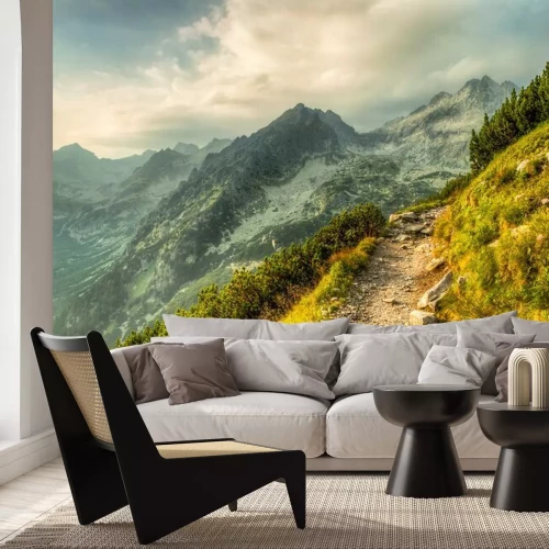 Papier peint  Chemin sur le versant de la montagne