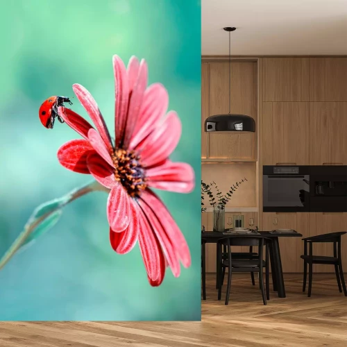 Sticker  Gros plan d'une coccinelle sur une fleur rouge