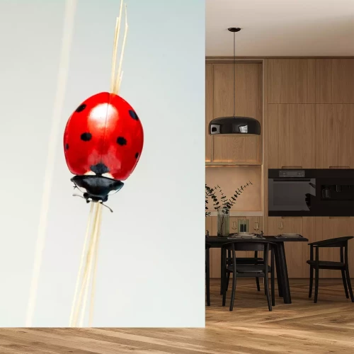 Sticker  Insecte rouge sur un épi sec