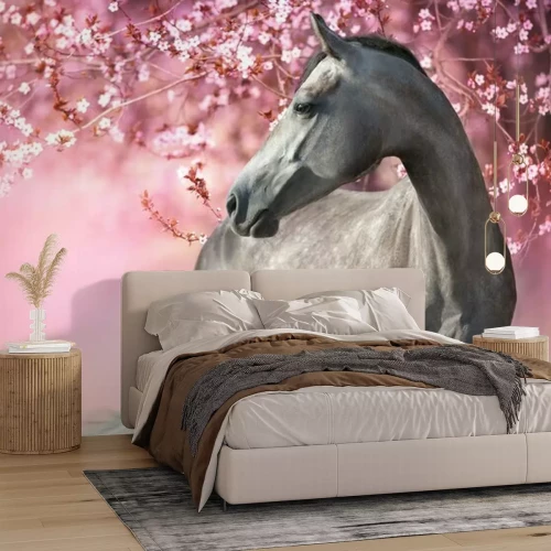 Papier peint  Horse and foal