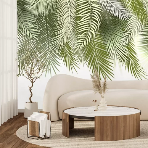 Papier peint  Feuilles pendantes de palmiers verts