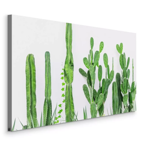 Tableau  Plantes vertes de cactus sur un fond uni