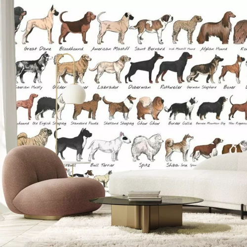 Papier peint  Différentes races de chiens