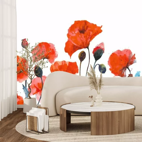 Papier peint  Watercolor red poppies. Composition of red poppies on a white background