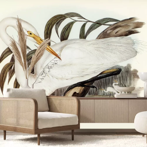 Papier peint  Ardea alba modesta