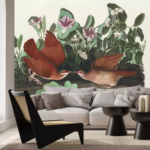 Papier peint  Geotrygon chrysia