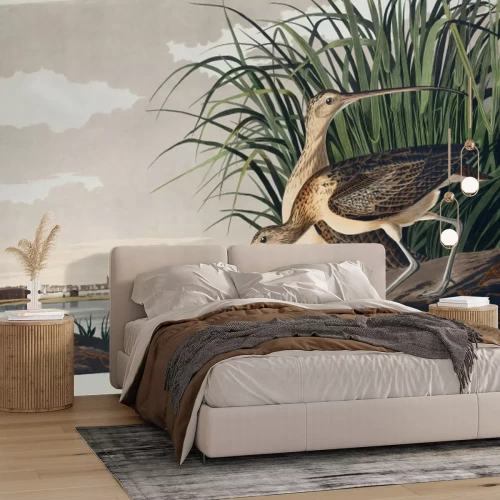 Papier peint  Numenius americanus