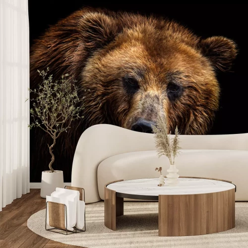 Papier peint  Portrait d'un ours sur fond noir