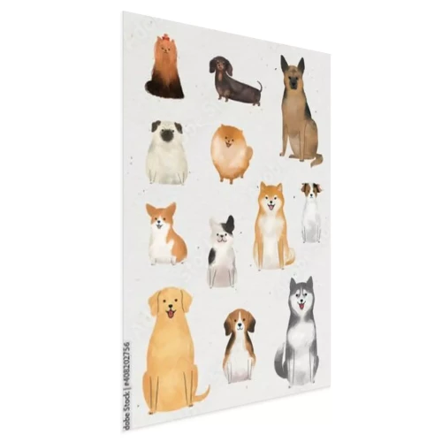 Visualisation du produit