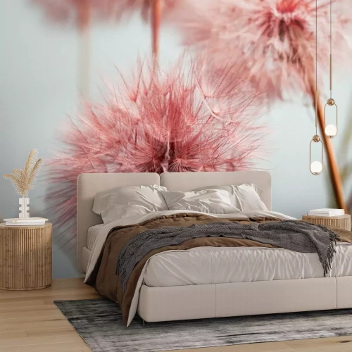 Papier peint  Pissenlits roses se bouchent