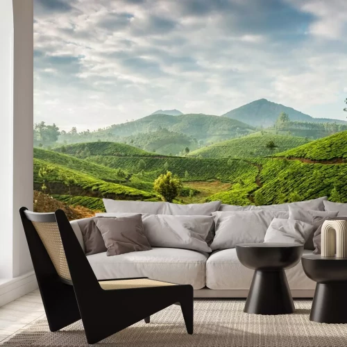 Papier peint  Panorama d'une plantation de thé