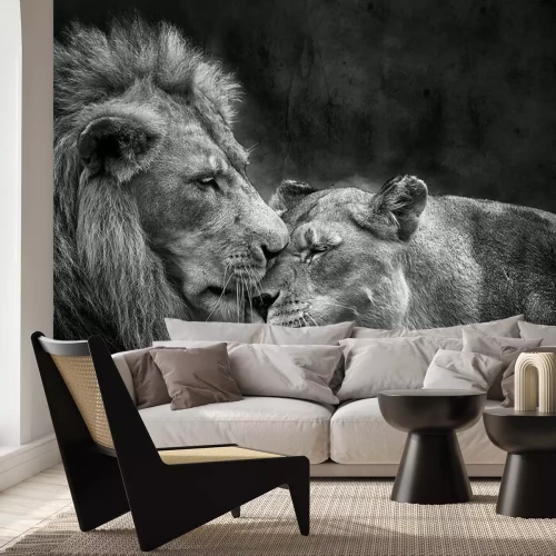 Papier peint  Portrait monochrome chats sauvages amoureux