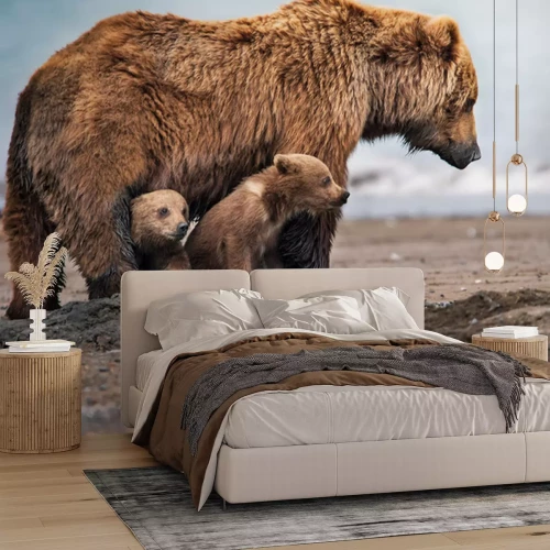 Papier peint  Une famille d'ours dans leur habitat naturel