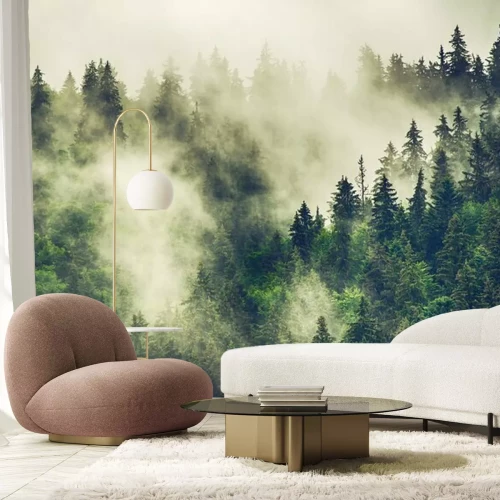 Papier peint  Brouillard matinal sur de grands conifères