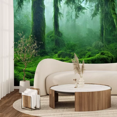 Papier peint  Forêt verte couverte de mousse