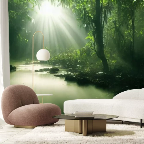 Papier peint  Forêt vert foncé dans les rayons du soleil