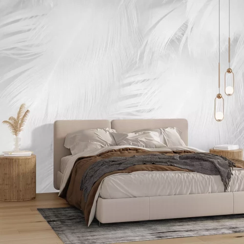 Papier peint  Beautiful white feather wooly pattern texture background