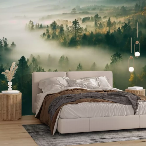 Papier peint  Vue de dessus de la forêt le matin