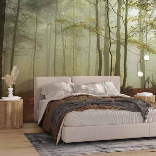 Papier peint  La fraîcheur de la forêt le matin