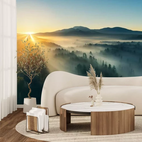 Papier peint  Lever du soleil sur un paysage forestier brumeux