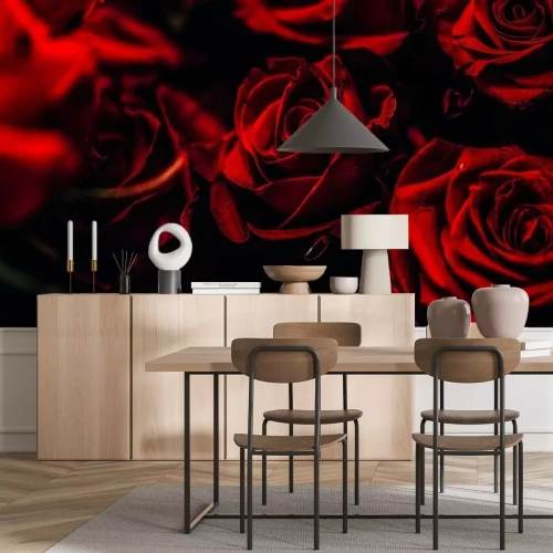 Papier peint  Belles roses rouges sur fond noir