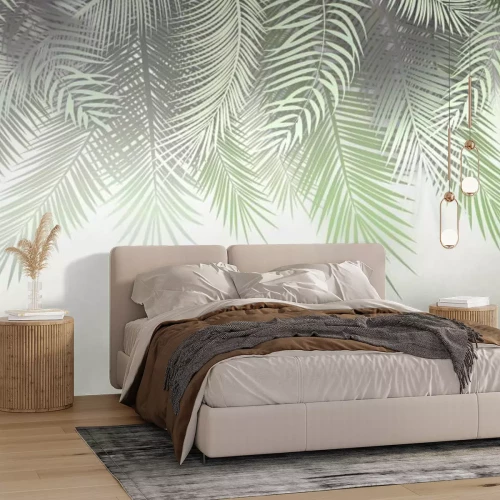 Papier peint  Feuilles de palmier brumeuses sur le mur