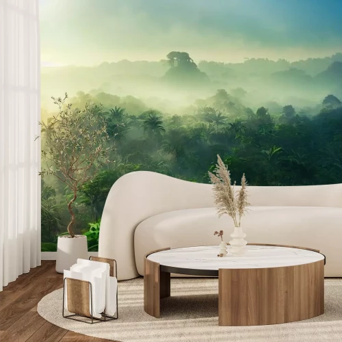 Papier peint  Forêt tropicale au lever du soleil