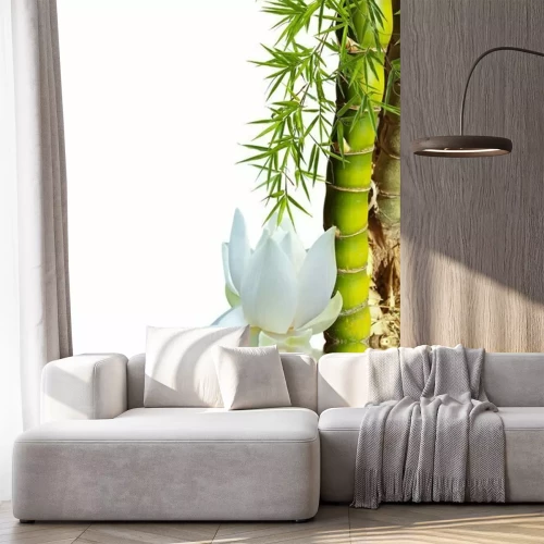 Papier peint  Bambou et lotus sur l'eau