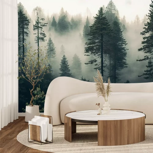 Papier peint  De grands arbres dans une forêt de conifères