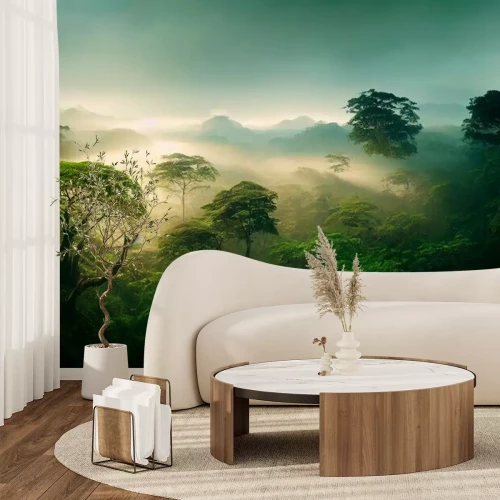 Papier peint  Forêt tropicale verte le matin