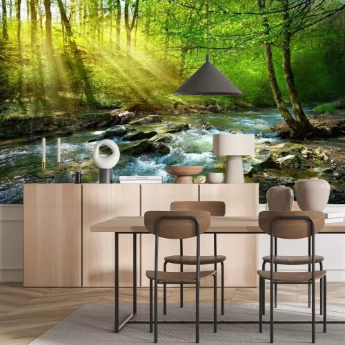 Papier peint  Ruisseau printanier dans une forêt