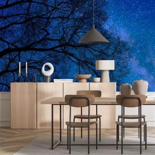 Papier peint  Le ciel étoilé et la couronne d'un arbre à feuilles caduques