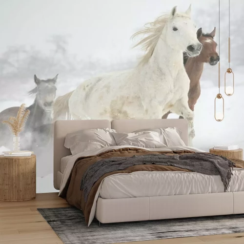 Papier peint  Un troupeau de chevaux galopant en hiver