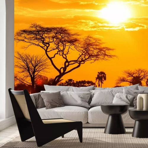 Papier peint  Coucher de soleil Afrique et nature