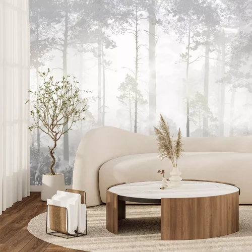 Sticker  Arbres dans la brume de la forêt du matin