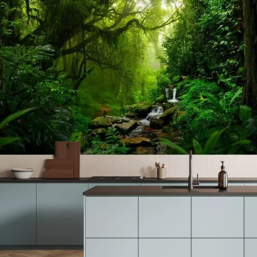 Papier peint  Tropical rain forest in Central America