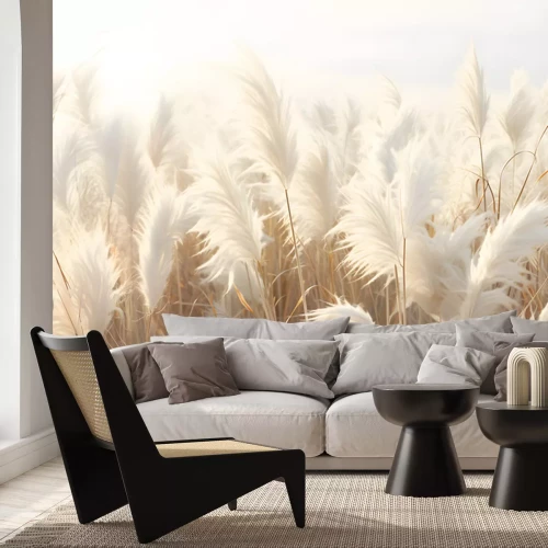 Papier peint  Abstract natural background of soft plants. Cortaderia. Fashionable pampas grass in neutral pastel colors. Dry reeds boho style. Aesthetic nature landscape