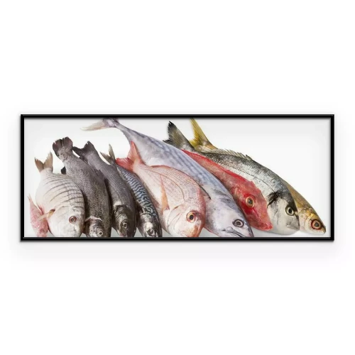 Poster  Poisson frais présenté sur fond blanc
