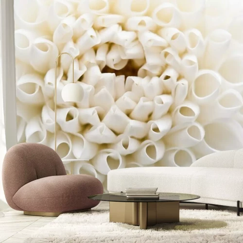 Papier peint  Dahlias