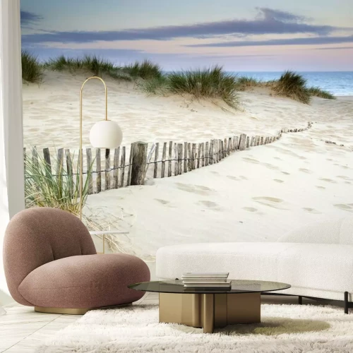 Papier peint  Dunes herbeuses au bord de la mer