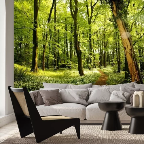 Papier peint  Un chemin dans une forêt verdoyante printanière