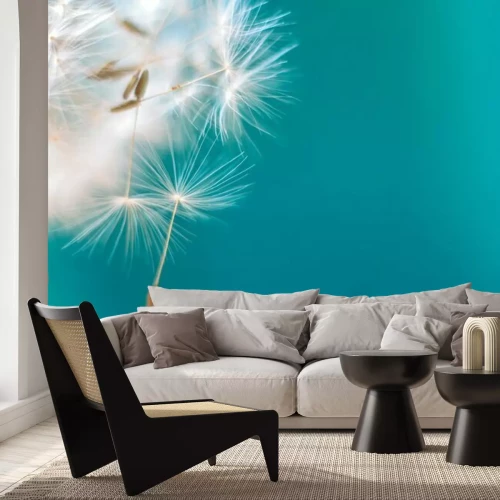 Papier peint  Pissenlits sur fond turquoise